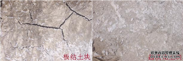 【關注】農(nóng)業(yè)部為什么大力推廣有機肥：有機肥的長期不足、缺失破壞了土壤結(jié)構